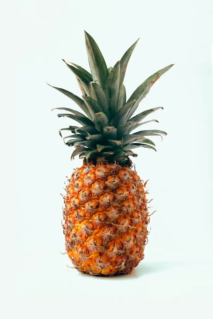 ripe pineapple fruit